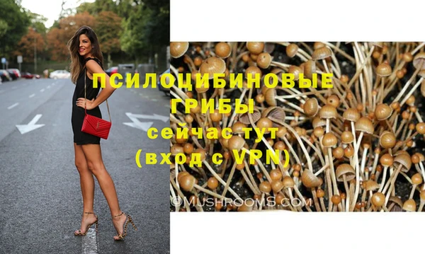 шишки Аркадак
