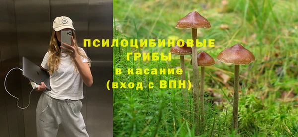 молекула духа Алзамай