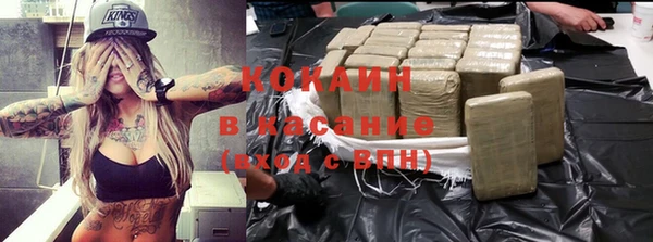 шишки Аркадак