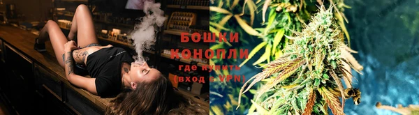 шишки Аркадак