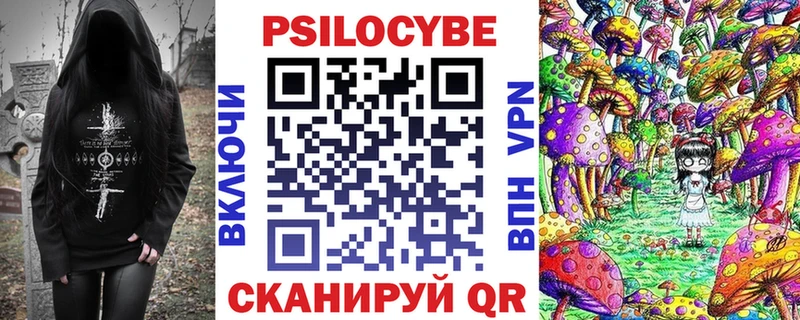 Псилоцибиновые грибы Cubensis  darknet как зайти  Бабаево 